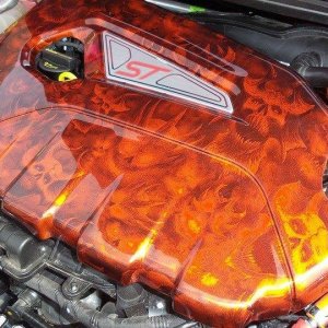 fiesta-st-engine-cover-11.jpg